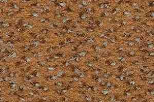 Ковролин Balsan Zenith Roll 635 фото  | FLOORDEALER